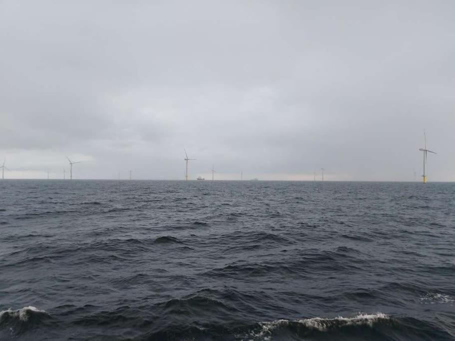 Fewo Nordsee Whng 3 西里格 外观 照片